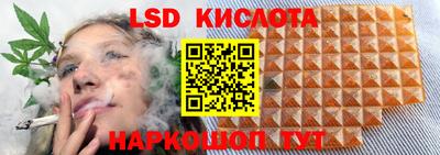 спайс Камышлов