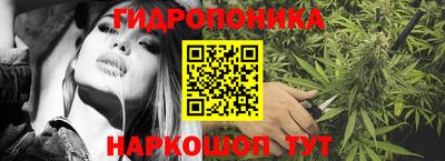 мдпв Кандалакша