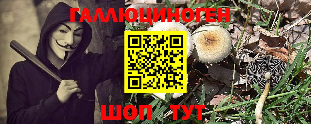Кунгур  как найти закладки  Галлюциногенные грибы Magic Shrooms  Вход с VPN  Псилоцибиновые грибы мицелий 