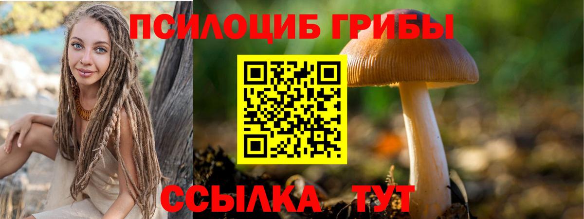 Псилоцибиновые грибы Cubensis Кунгур